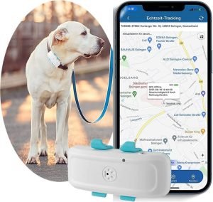 GPS para perros en Chile